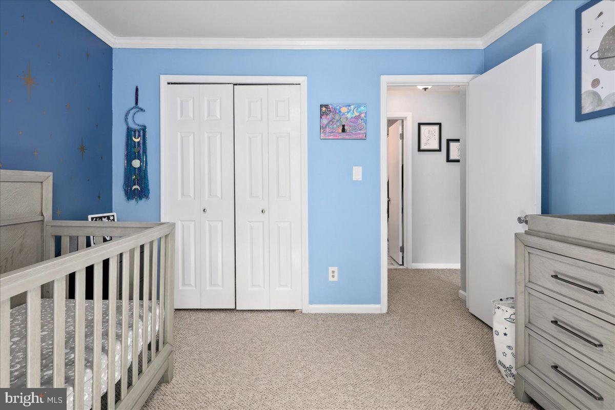 CEDAR GROVE PARK - Residential