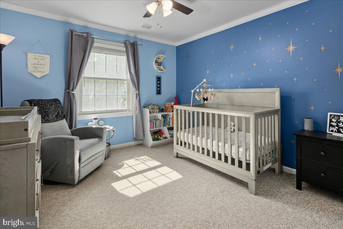 CEDAR GROVE PARK - Residential