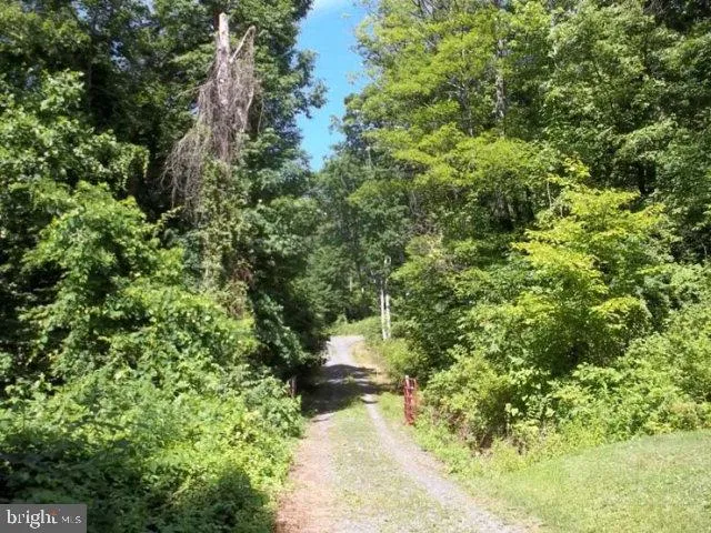 Lot 1 Milford Street, Mifflintown, PA 17059