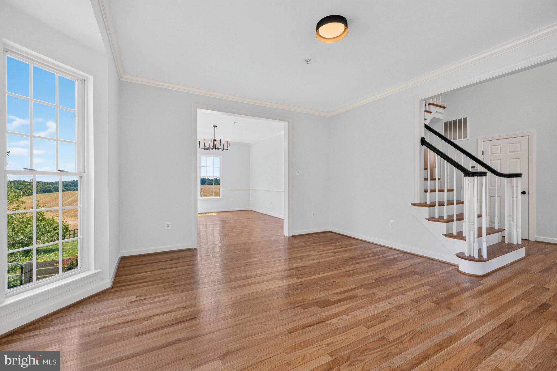 5891 WOODBINE ROAD