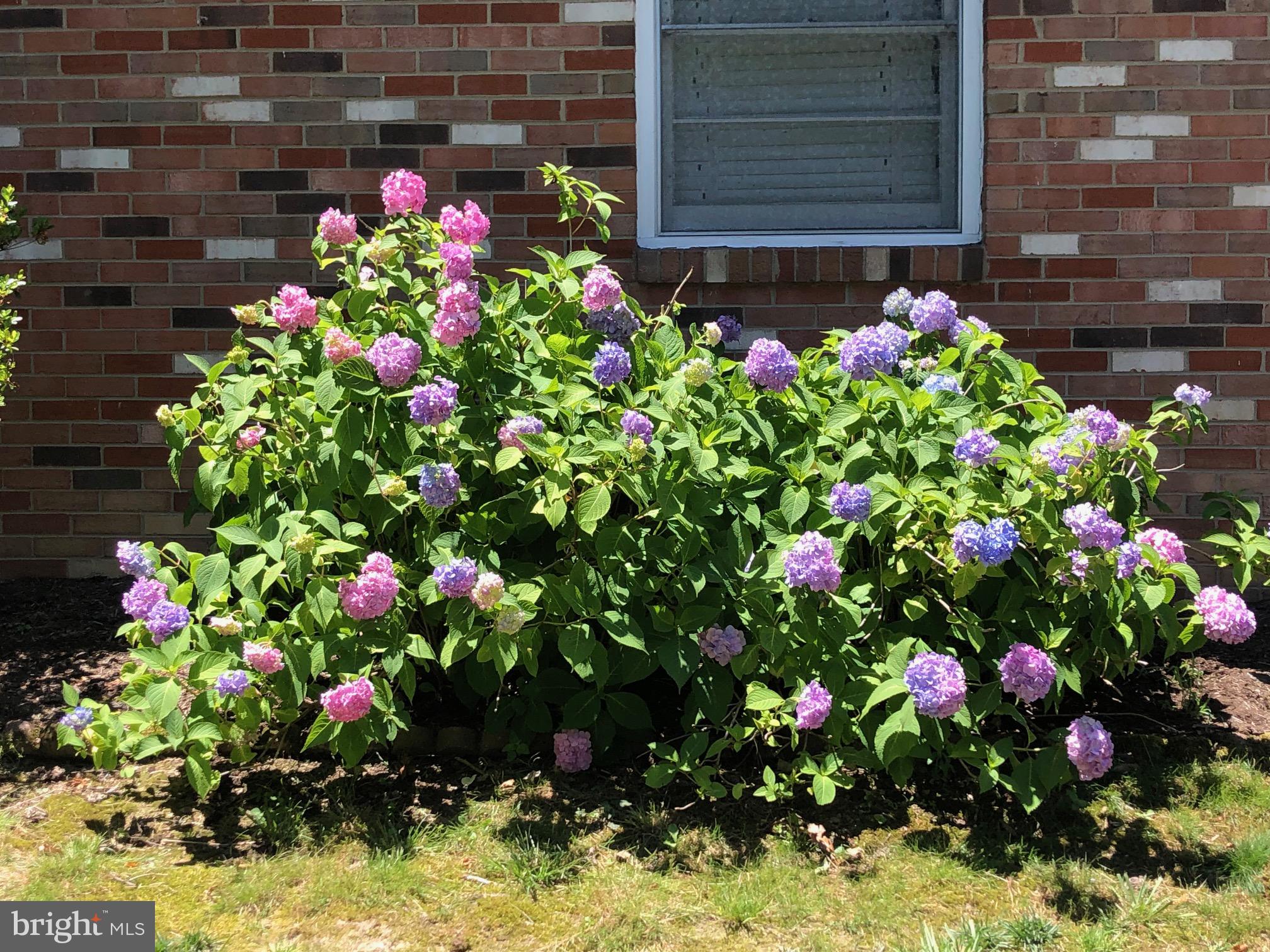 ROLLING VALLEY - Residential Lease