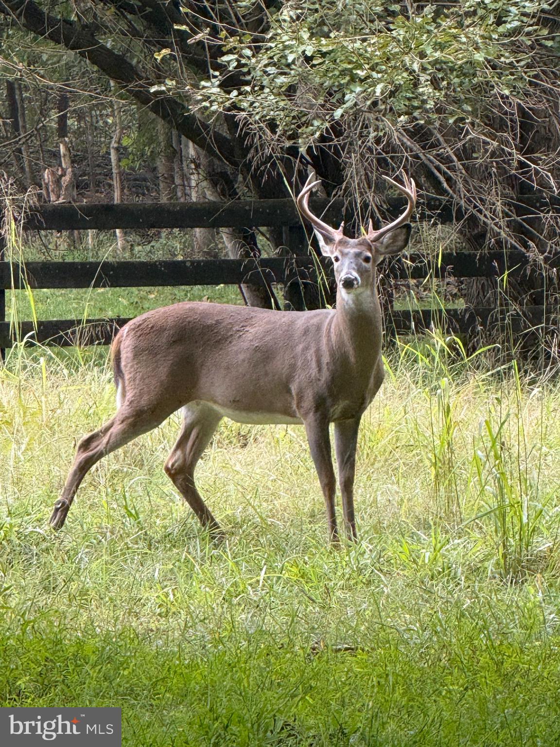 HETZEL - Residential