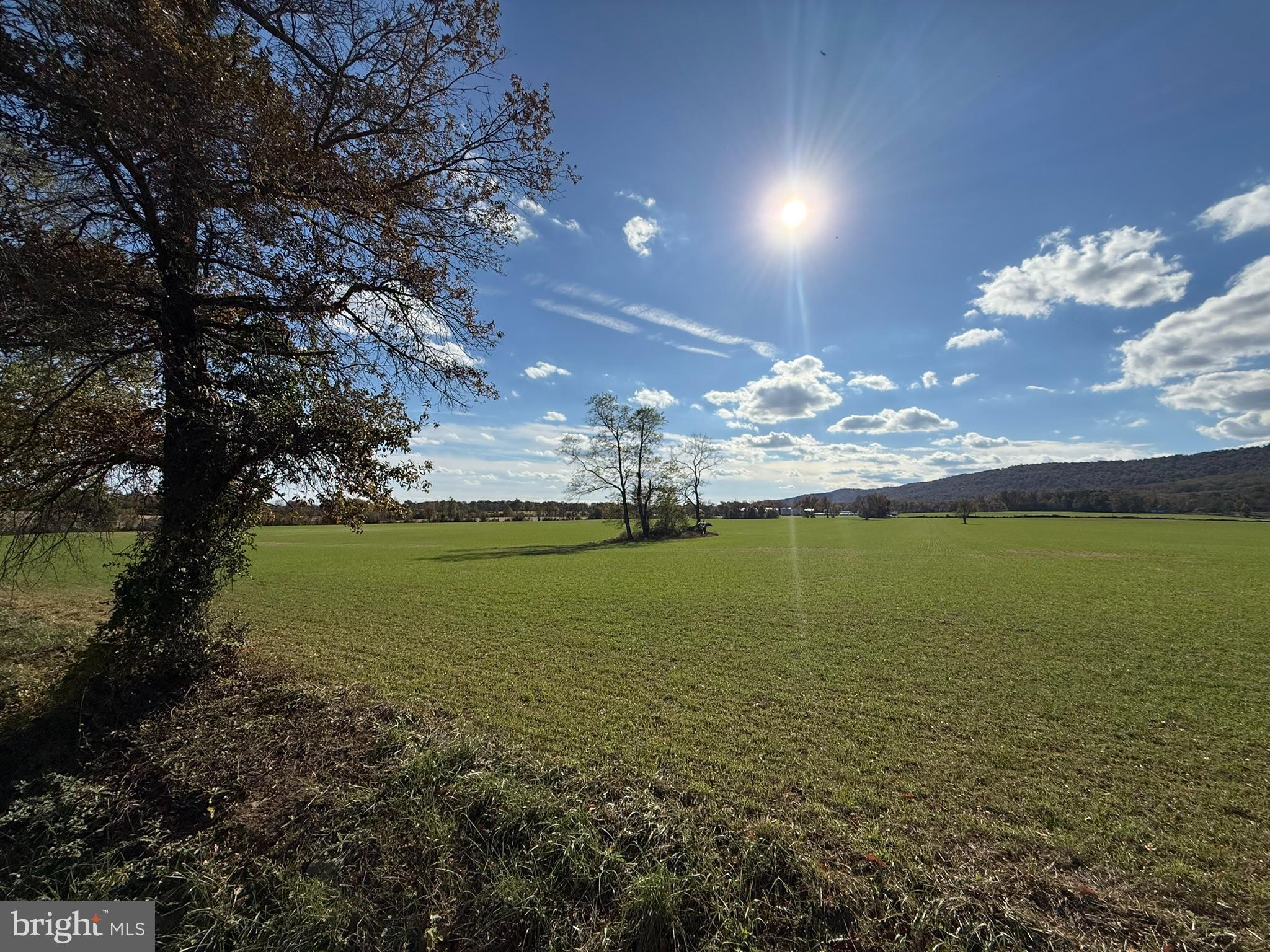 HETZEL - Residential