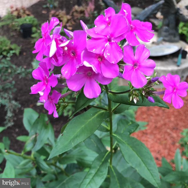 HETZEL - Residential