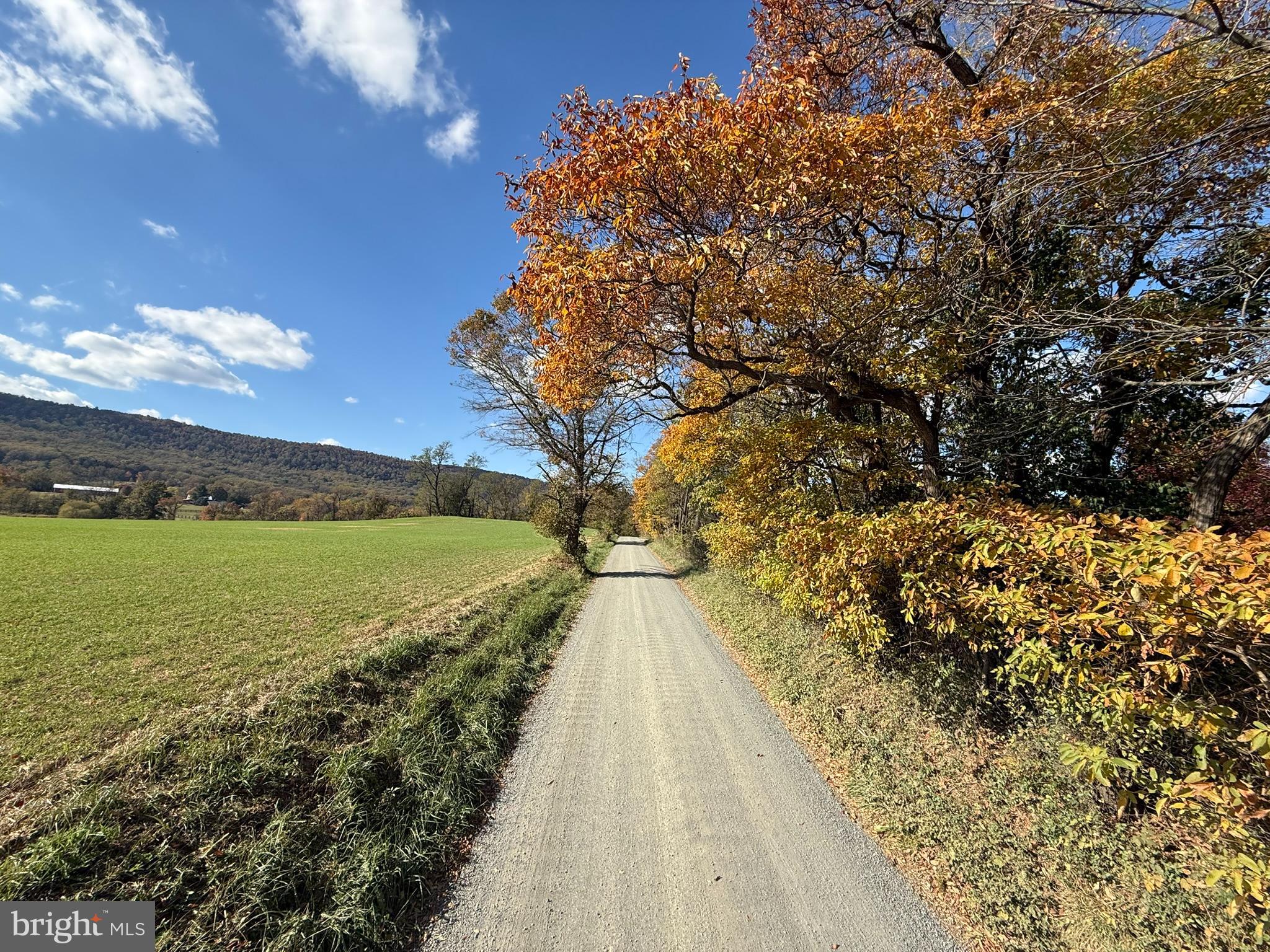 HETZEL - Residential