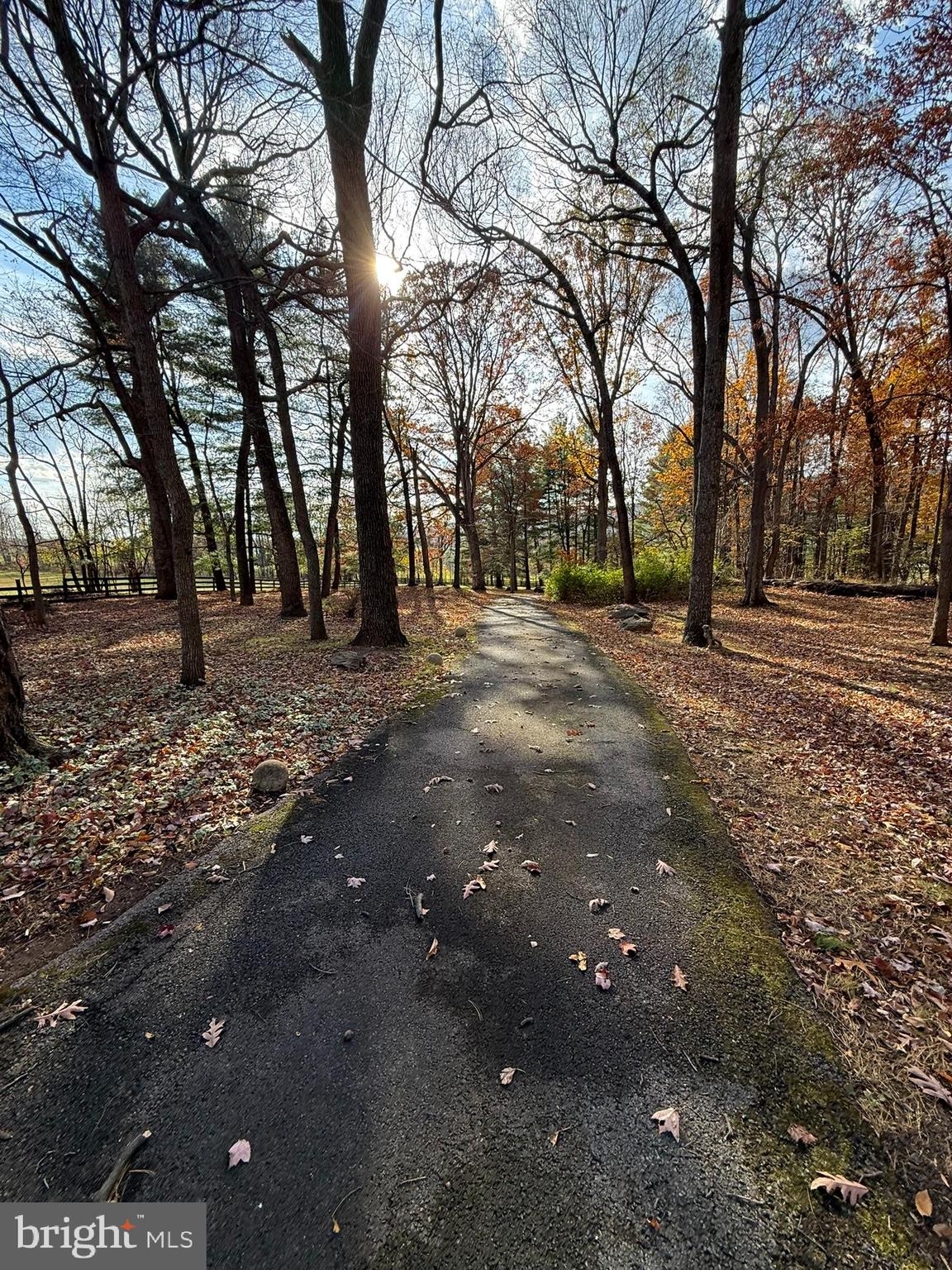 HETZEL - Residential