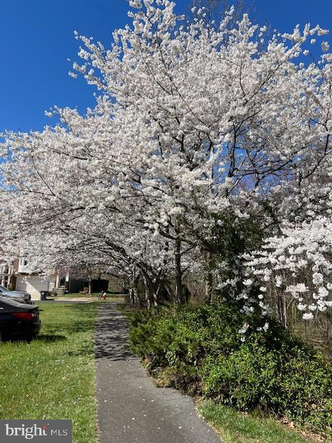 CASCADES LOWES ISLAND - Residential