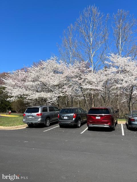 CASCADES LOWES ISLAND - Residential
