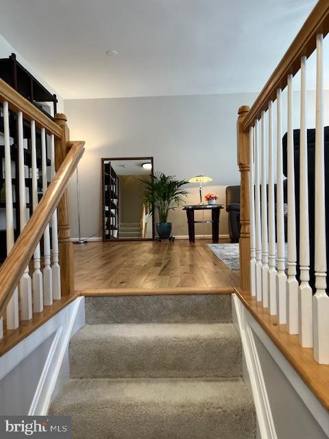 CASCADES LOWES ISLAND - Residential