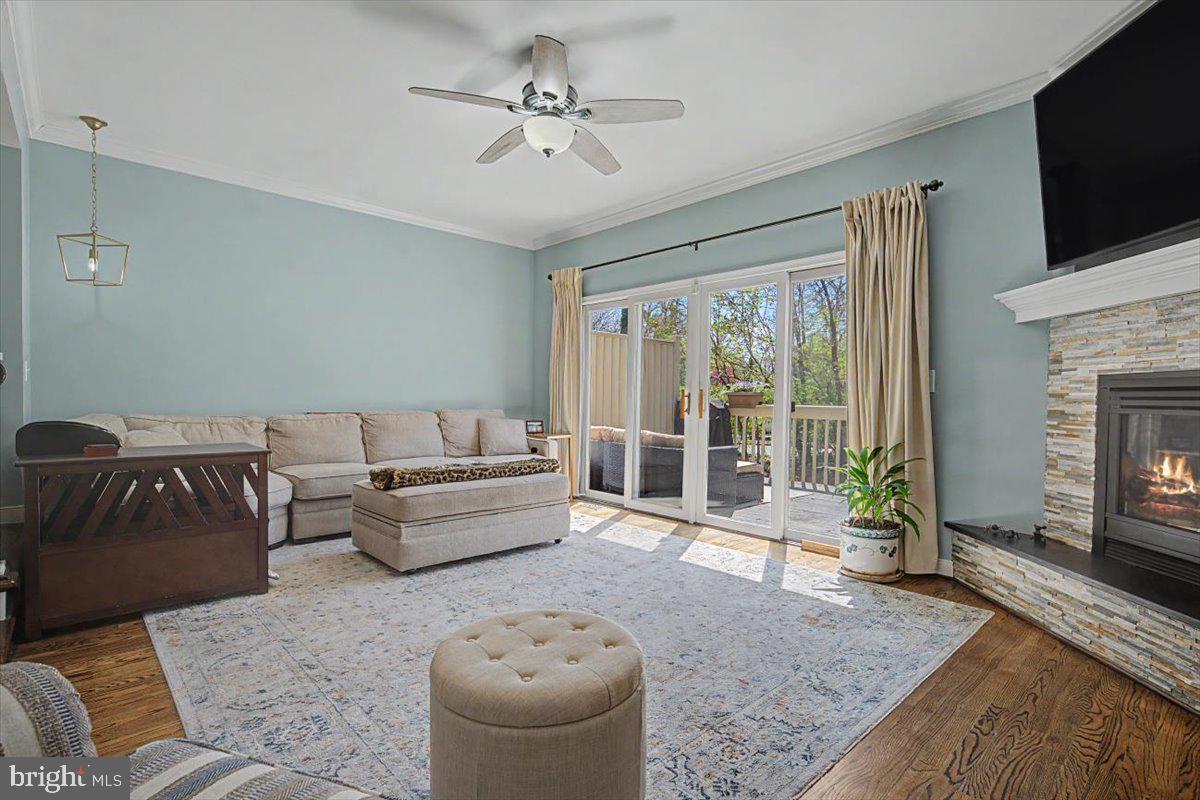 ROCKFORD MEWS - Residential