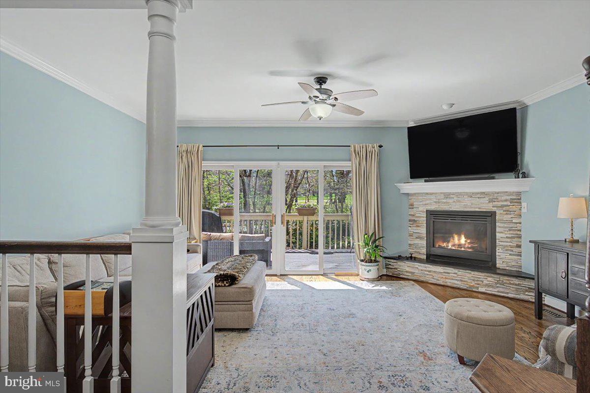 ROCKFORD MEWS - Residential