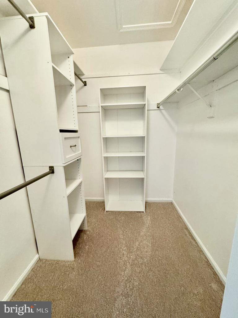 NEWTOWN GRANT - Residential Lease