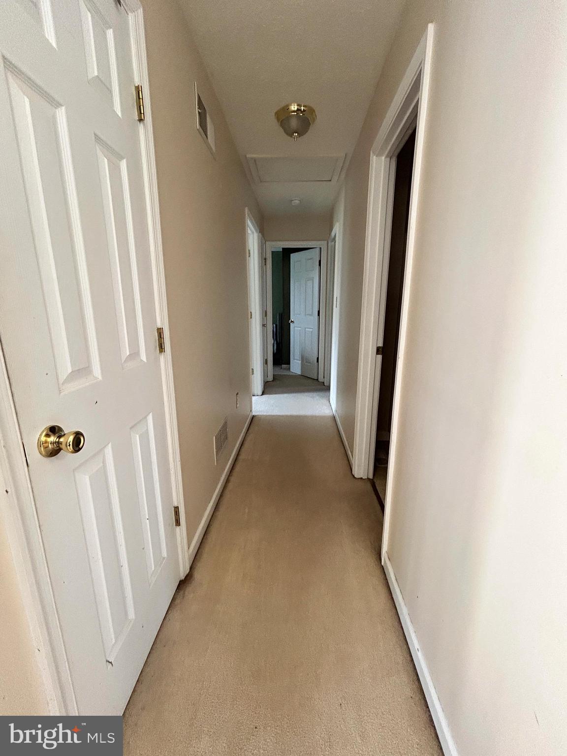 ELIZABETH STATION - Residential