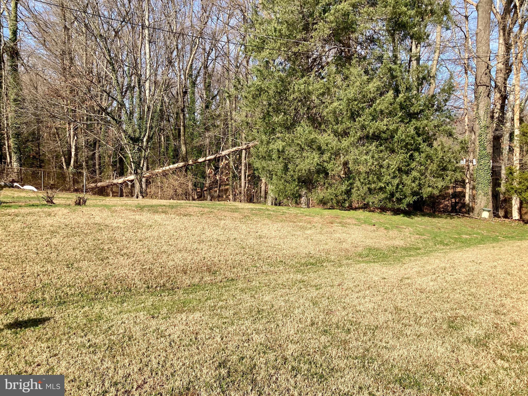 NORRIS PYLES OLD MILL ES - Residential