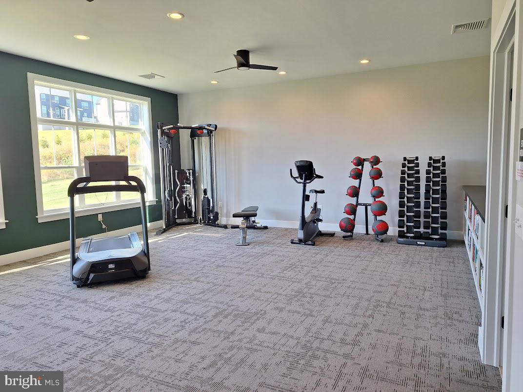 CORTLAND PARK AT WINDING HILLS - Residential