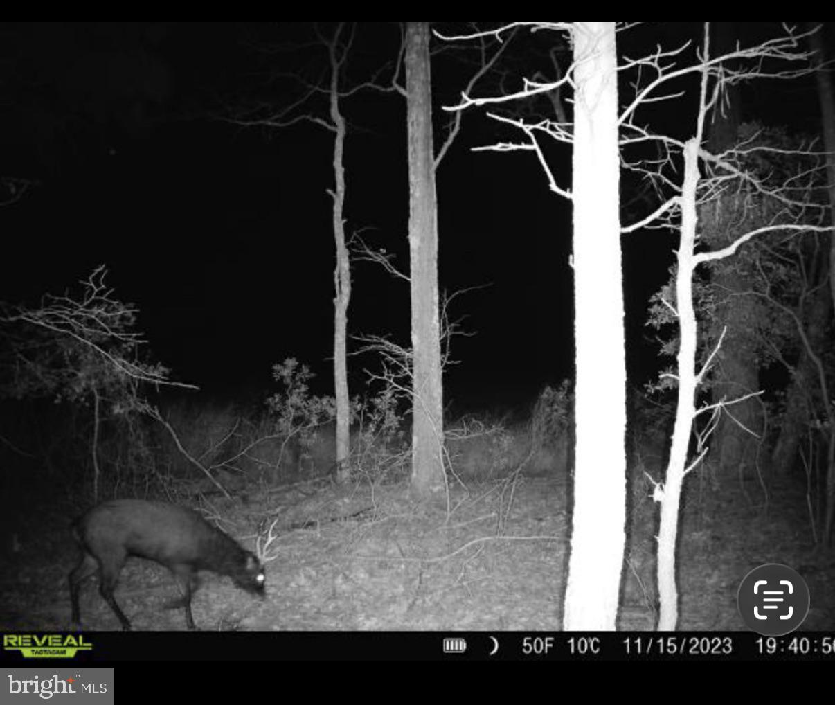 2839 LAKESVILLE CRAPO ROAD