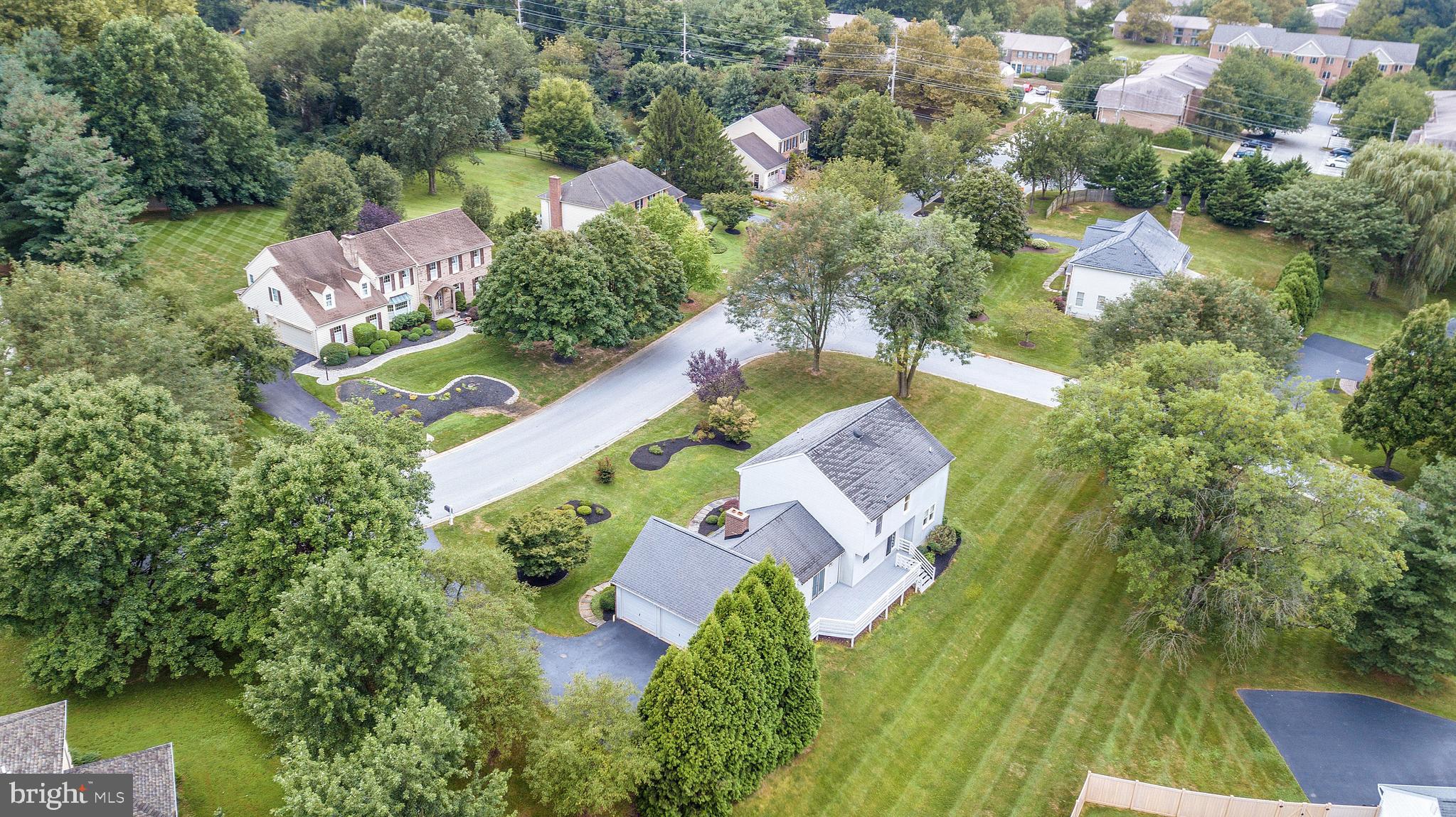 BOW TREE - Residential