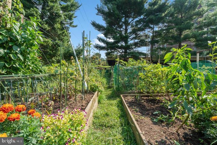 SPRING LAKE GARDEN CONDOMINIUM - Residential