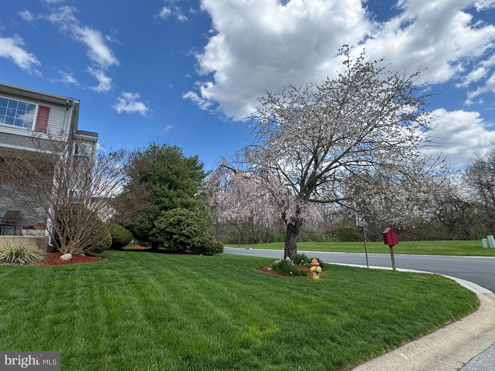 102 SHINN CIRCLE
