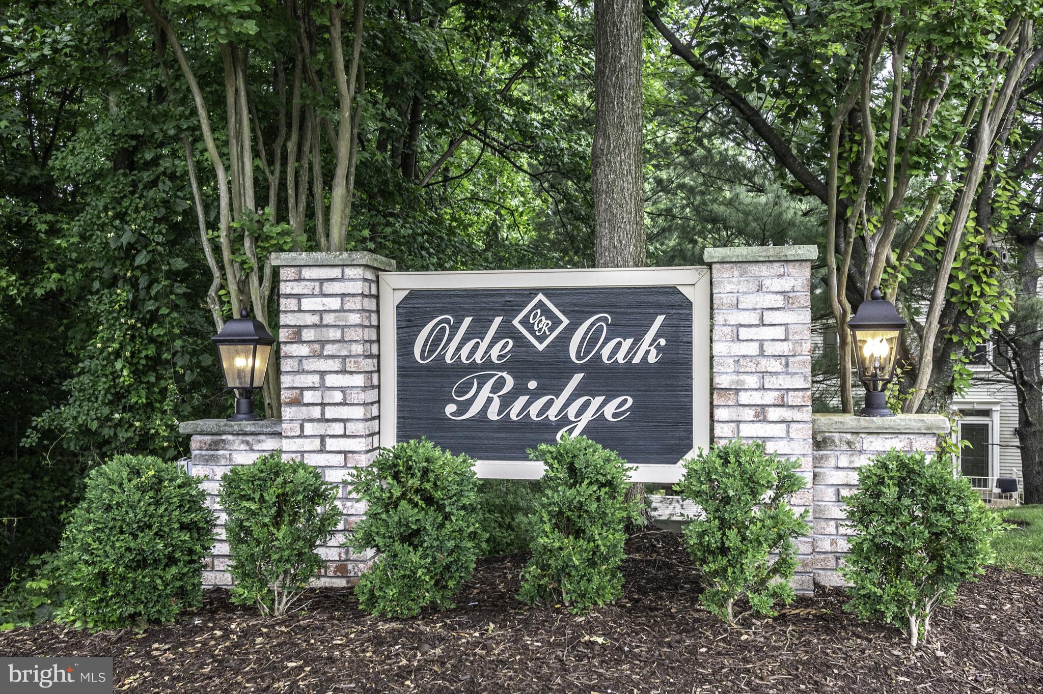 OLDE OAK RIDGE - Residential