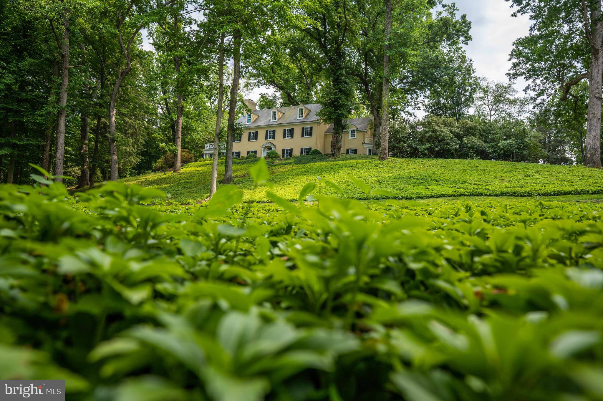 GREENSPRING VALLEY - Residential