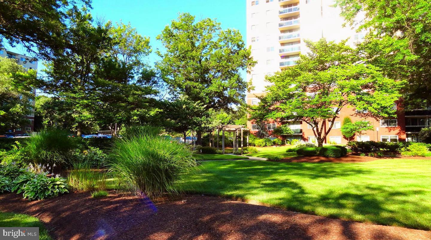 TAKOMA PARK - Residential