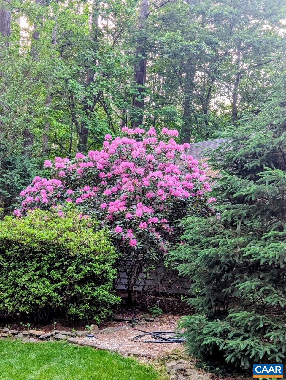 EARLYSVILLE FOREST - Residential