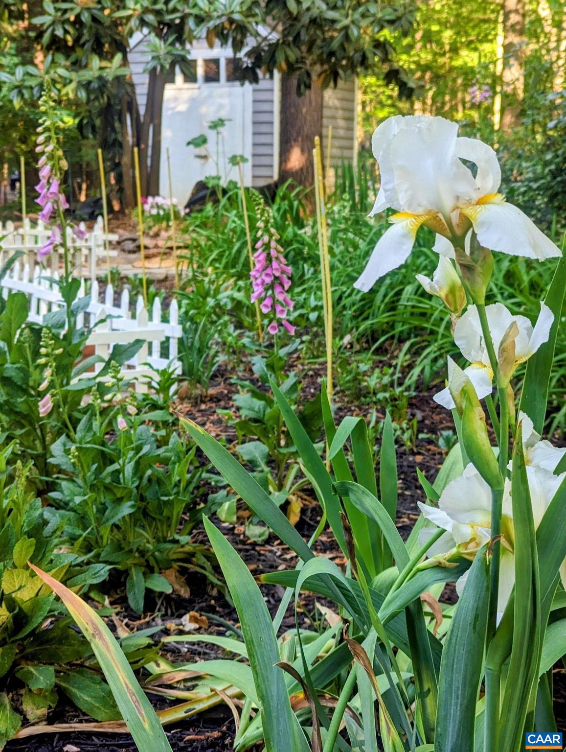 EARLYSVILLE FOREST - Residential