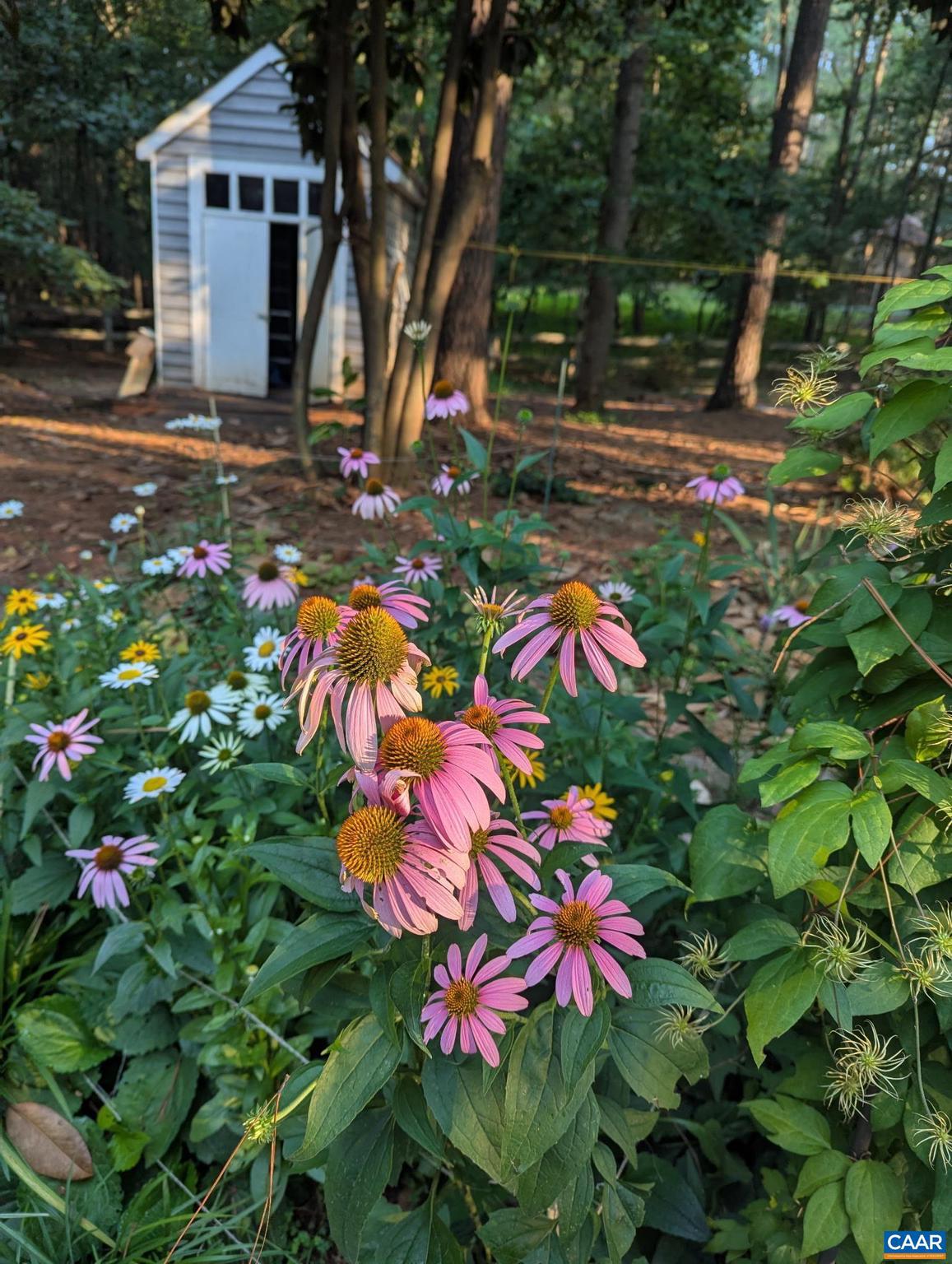 EARLYSVILLE FOREST - Residential