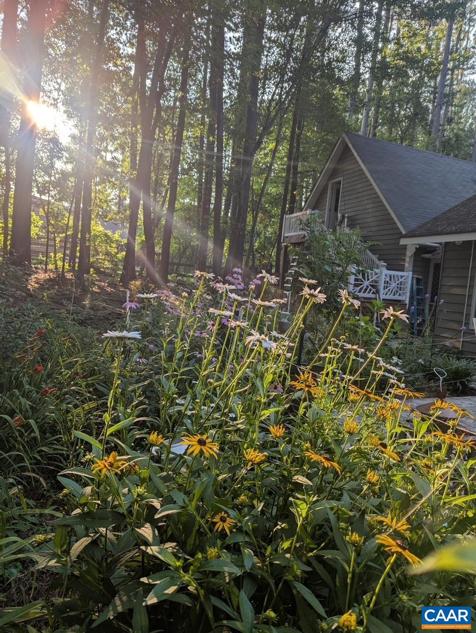 EARLYSVILLE FOREST - Residential