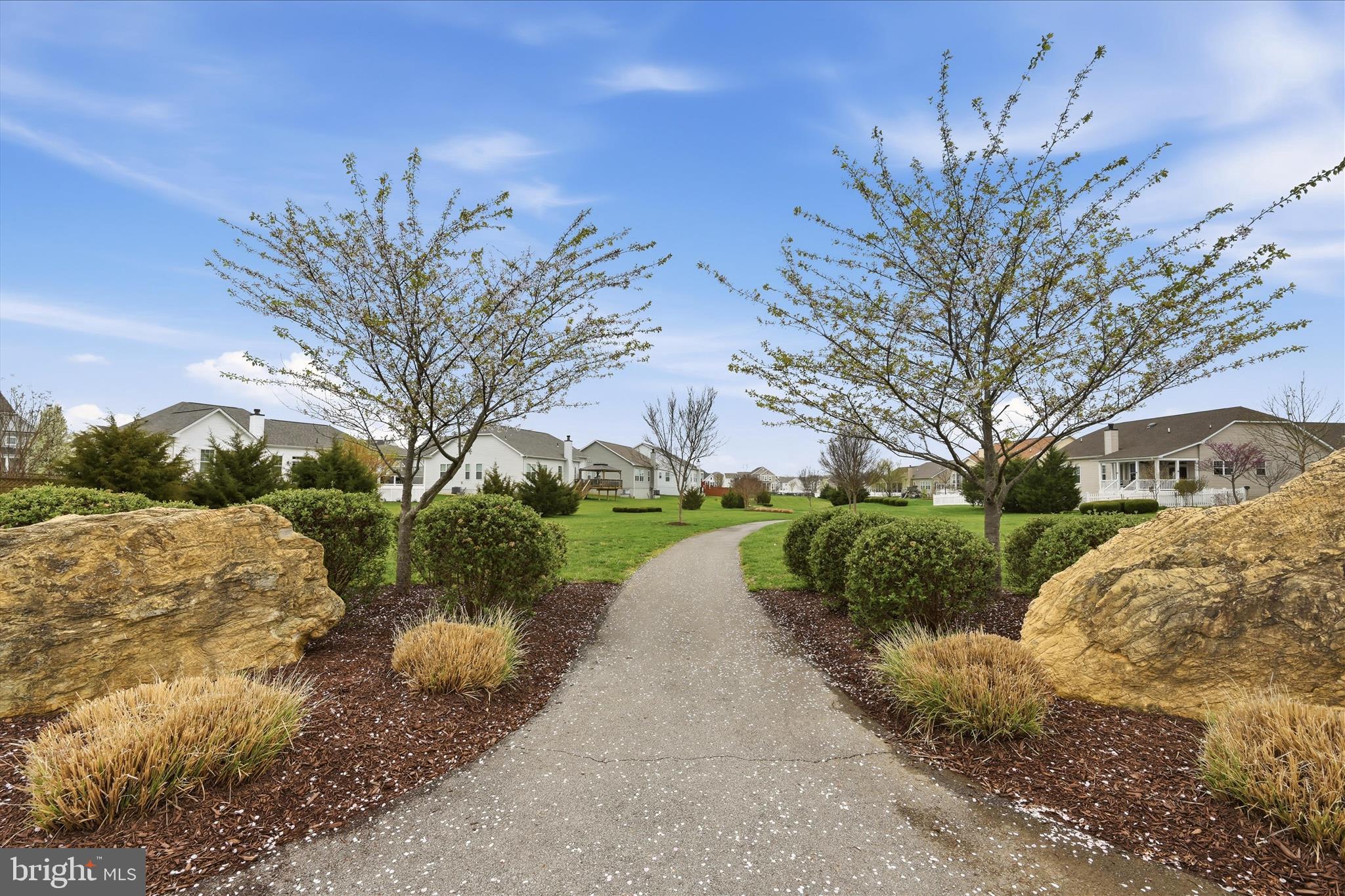 NORBORNE GLEBE - Residential