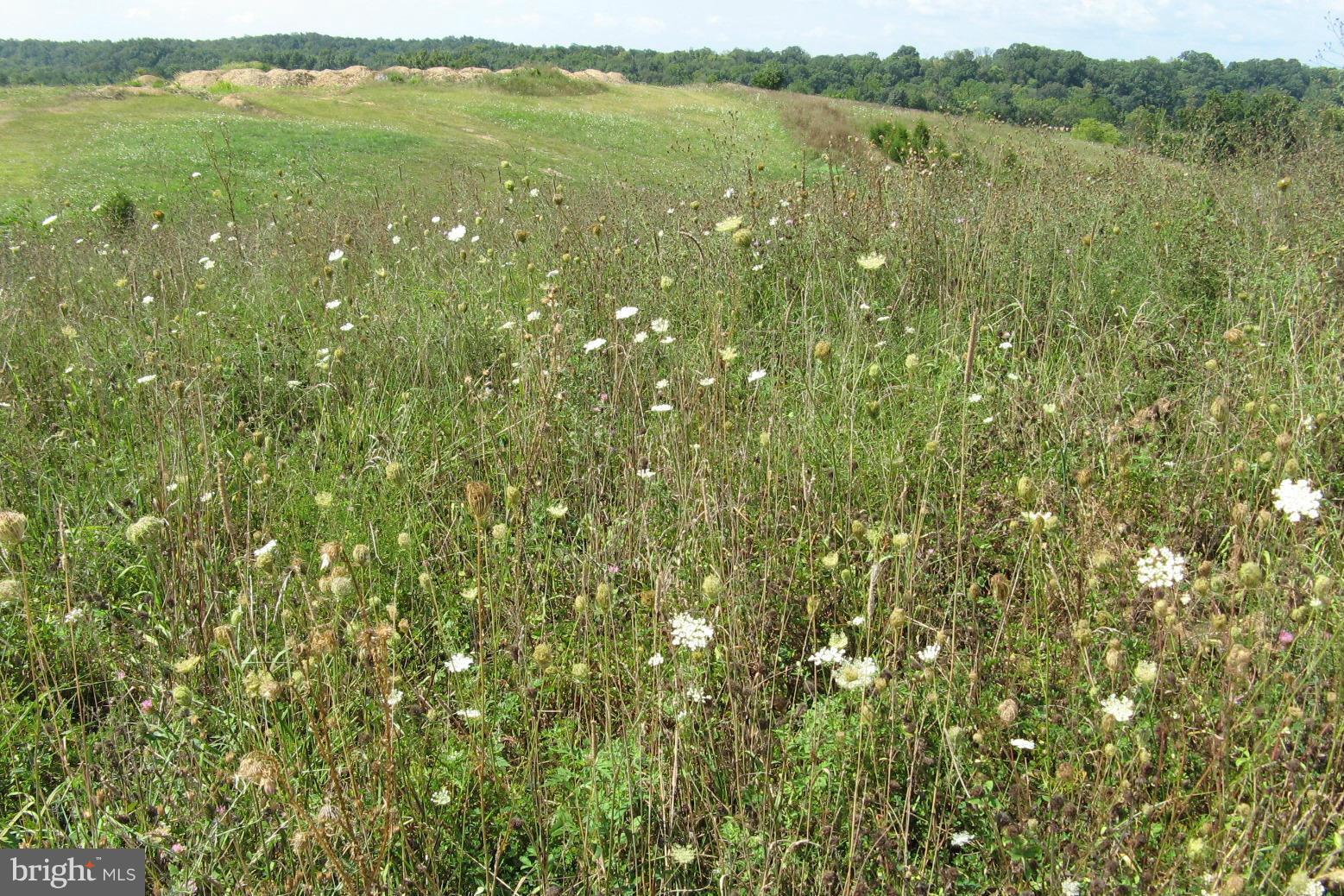 MORNING DOVE ESTATES - Land