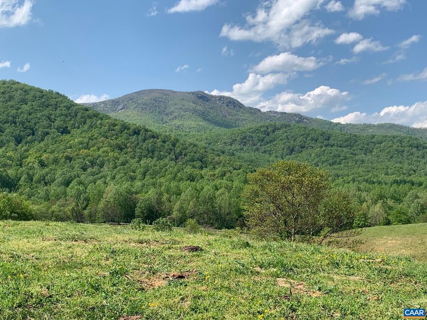 Cedar Springs Farm is located in one of the most desirable and scenic areas of Central Virginia.  It is a rarity that such an uniquely exceptional property is available to the market.  Total surveyed acreage 265+- acres.  Frontage on two State roads.  Property is in Forrestal and Agricultural Land Use Taxation.  Several small creeks, springs and pond are on the property.  Very private yet accessible farm with u-paralleled rolling pastures and views of Old Rag Mountain, from several potential building sites.  Nestled in Dulaney Hollow, and adjacent to a spring, is a circa 1900 two story farmhouse, in good condition.  The five bedroom, one bath, house has a standing seam metal roof, wood siding, stone foundation and patio.  In addition there are two wood burning fireplaces.  A natural spring water to the house, and there is a septic system drainfield.  Being sold in "AS IS" condition.,Cedar Springs Farm