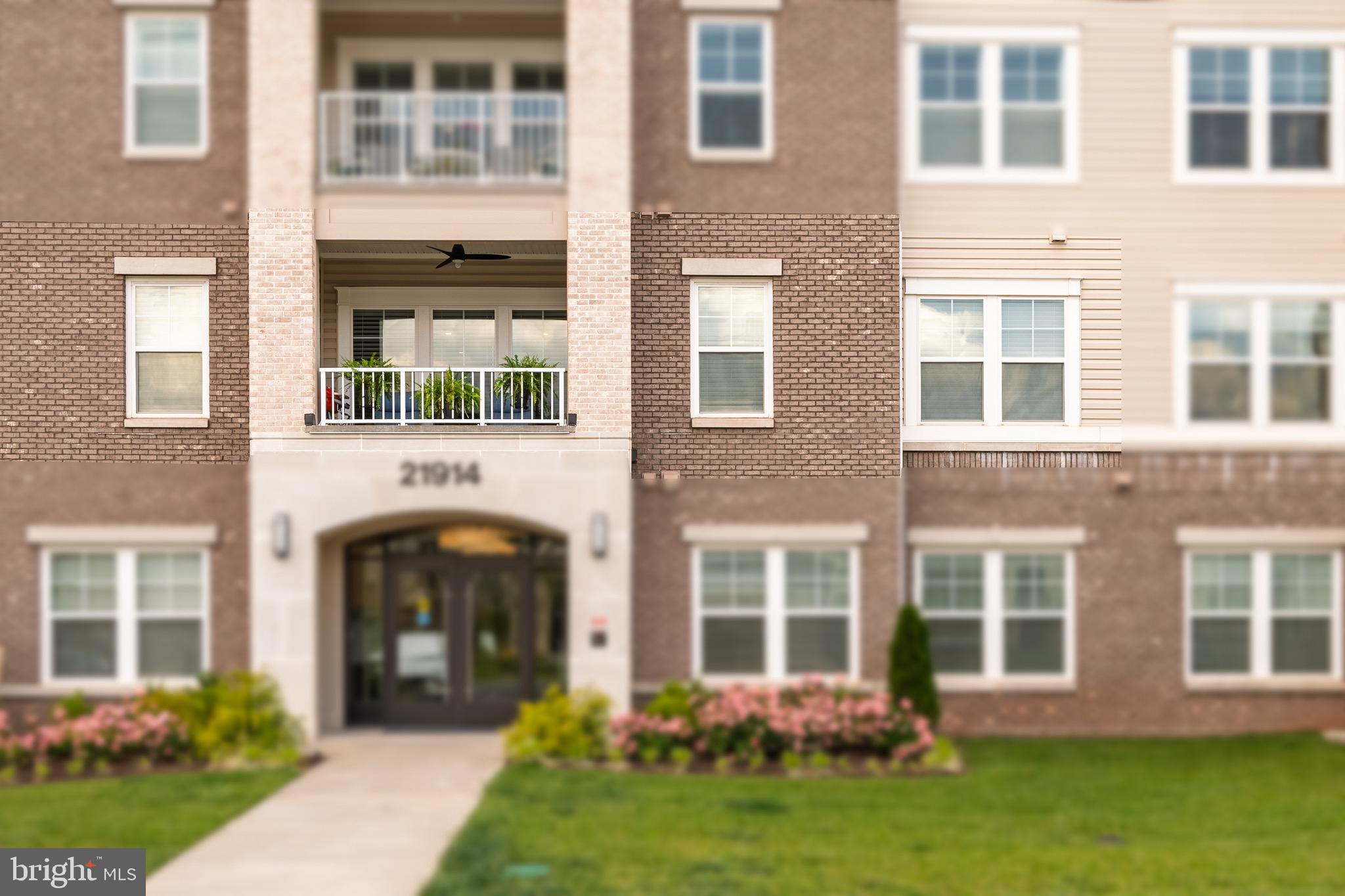 21914 HAWKSBILL HIGH CIRCLE 204