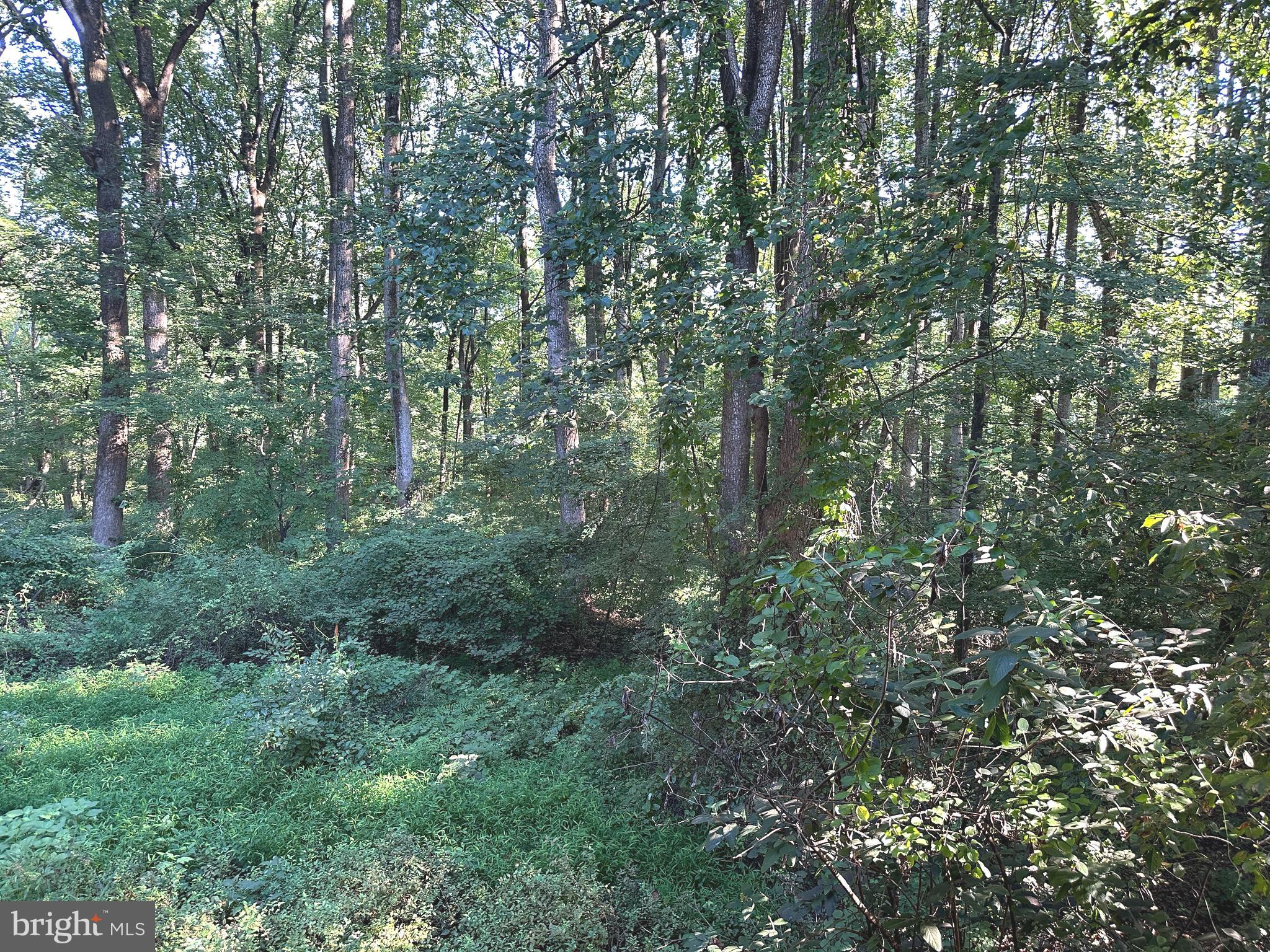 TIMBERBROOK CODM - Residential Lease