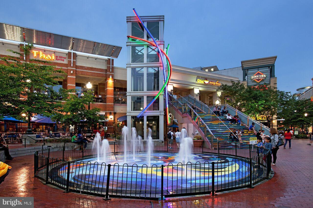 DOWNTOWN SILVER SPRING - Residential
