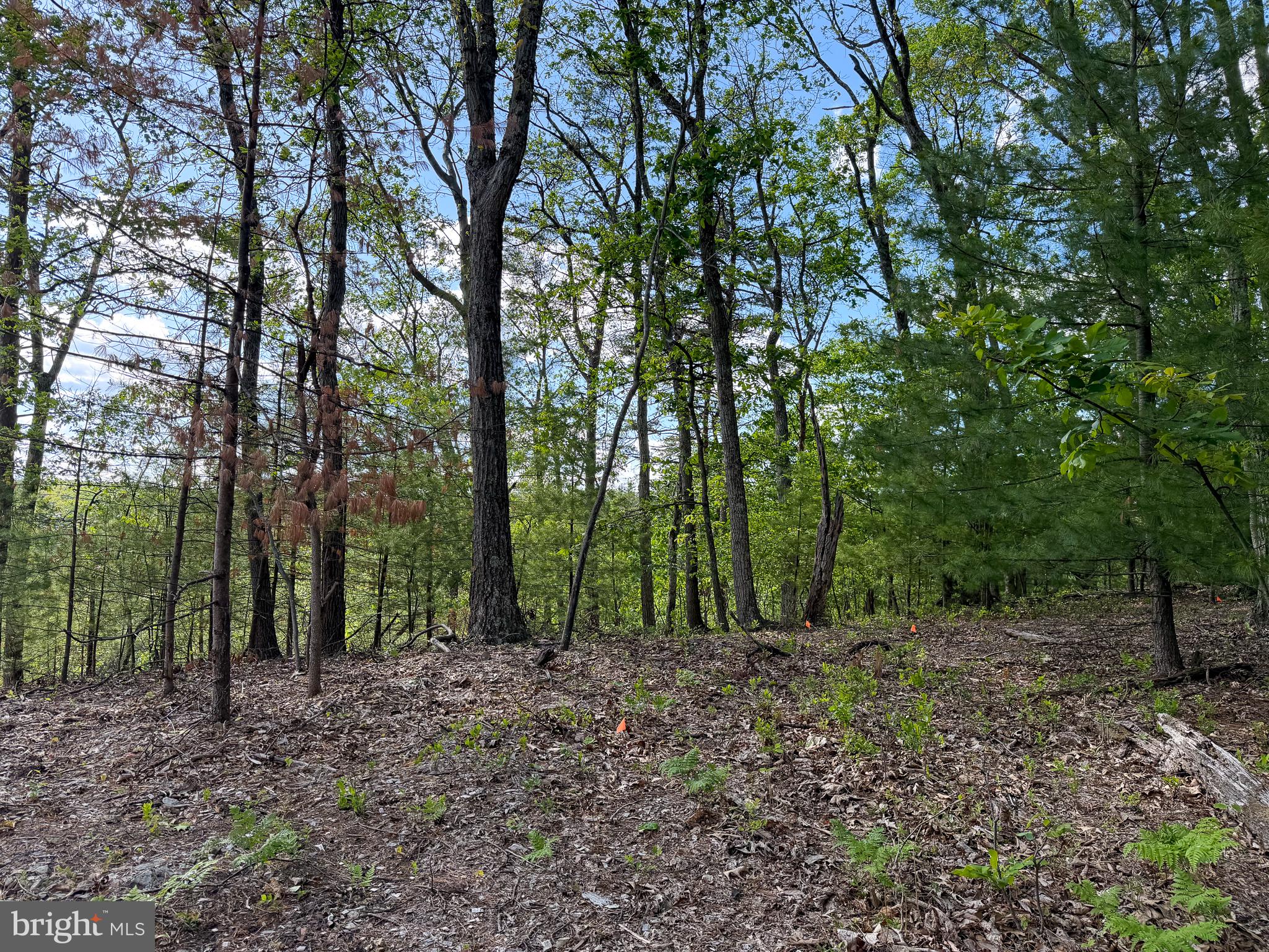 LOT 22 ECHO HEIGHTS