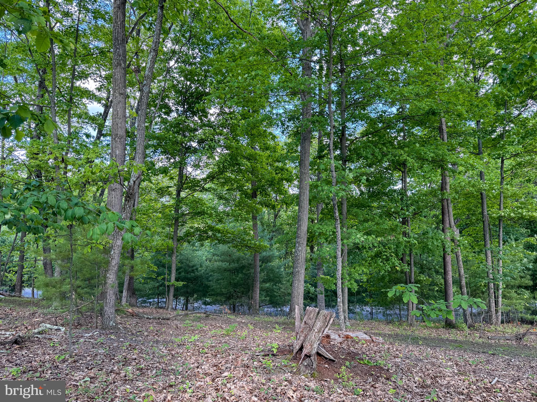 LOT 22 ECHO HEIGHTS