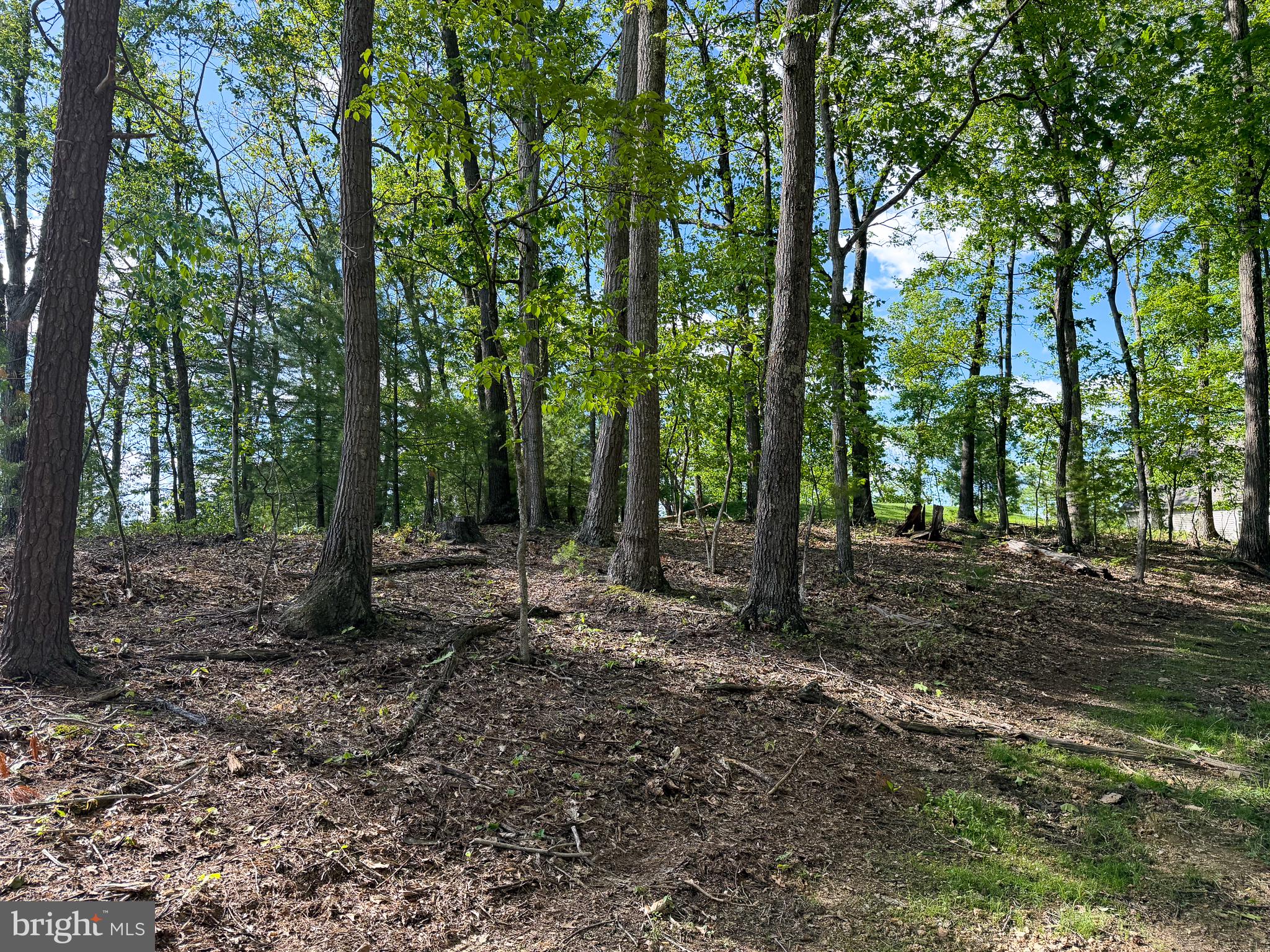 LOT 22 ECHO HEIGHTS