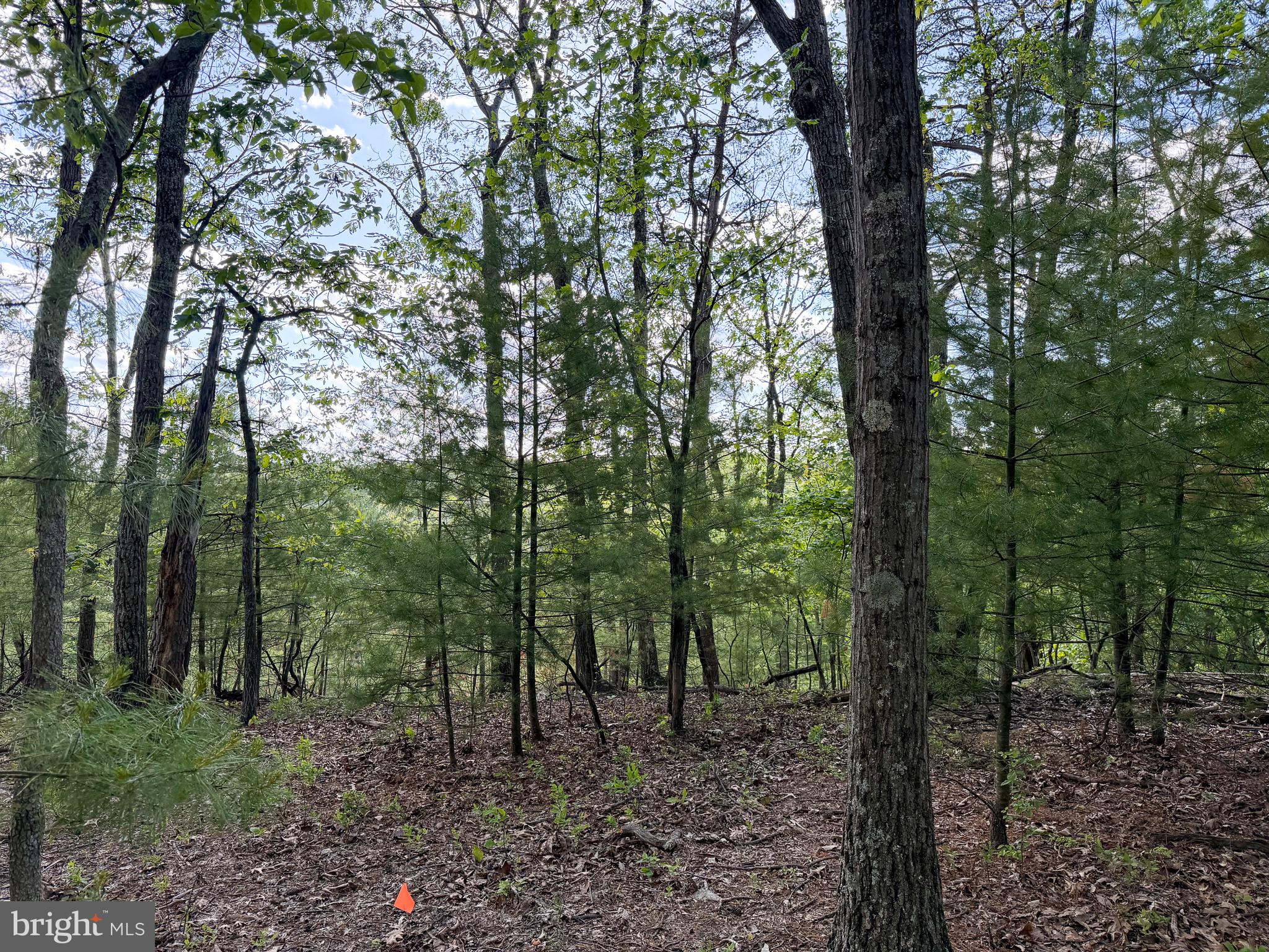 LOT 22 ECHO HEIGHTS