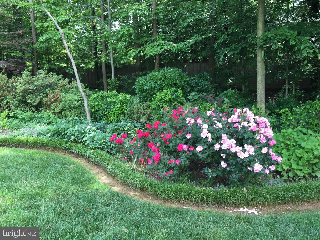 LANGLEY OAKS - Residential