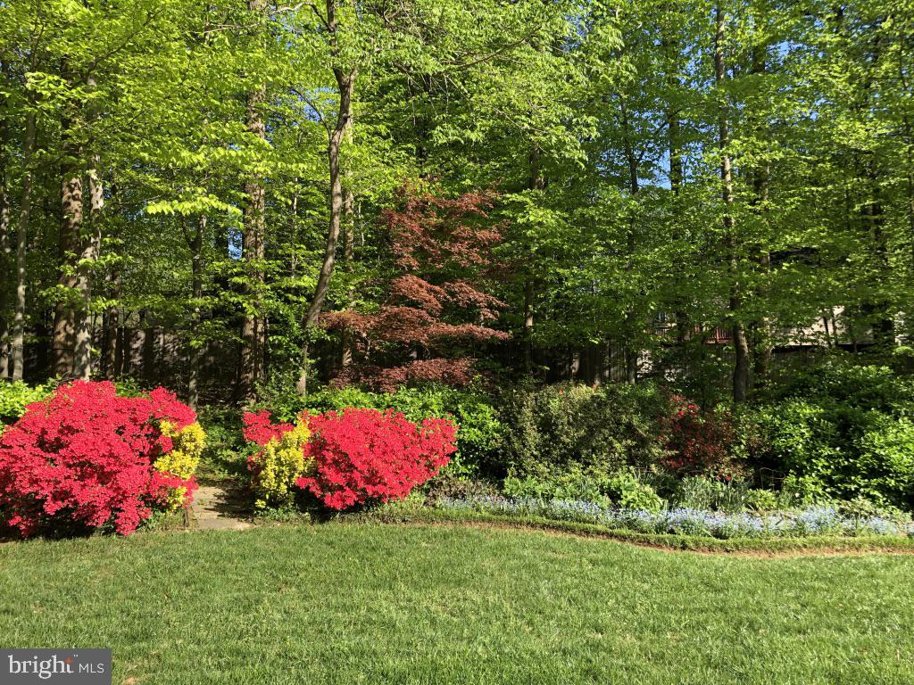 LANGLEY OAKS - Residential