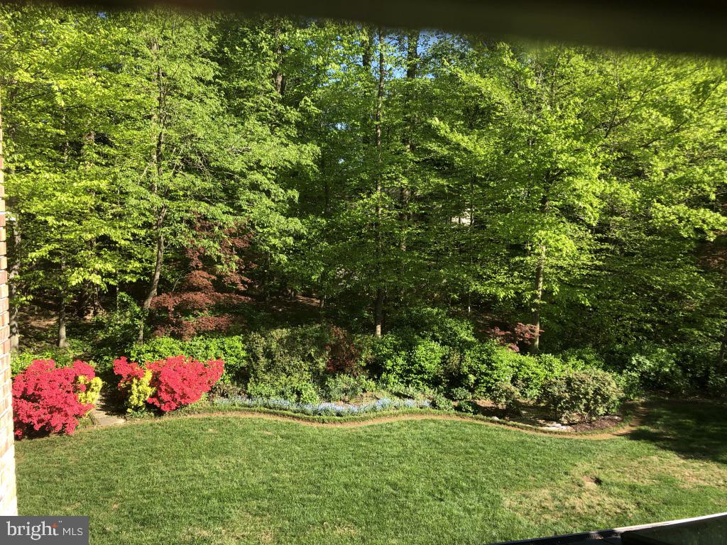 LANGLEY OAKS - Residential