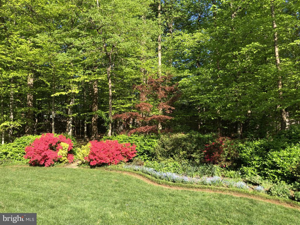 LANGLEY OAKS - Residential