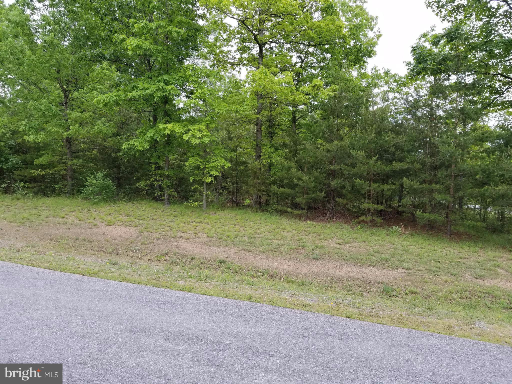 CACAPON SOUTH - Land