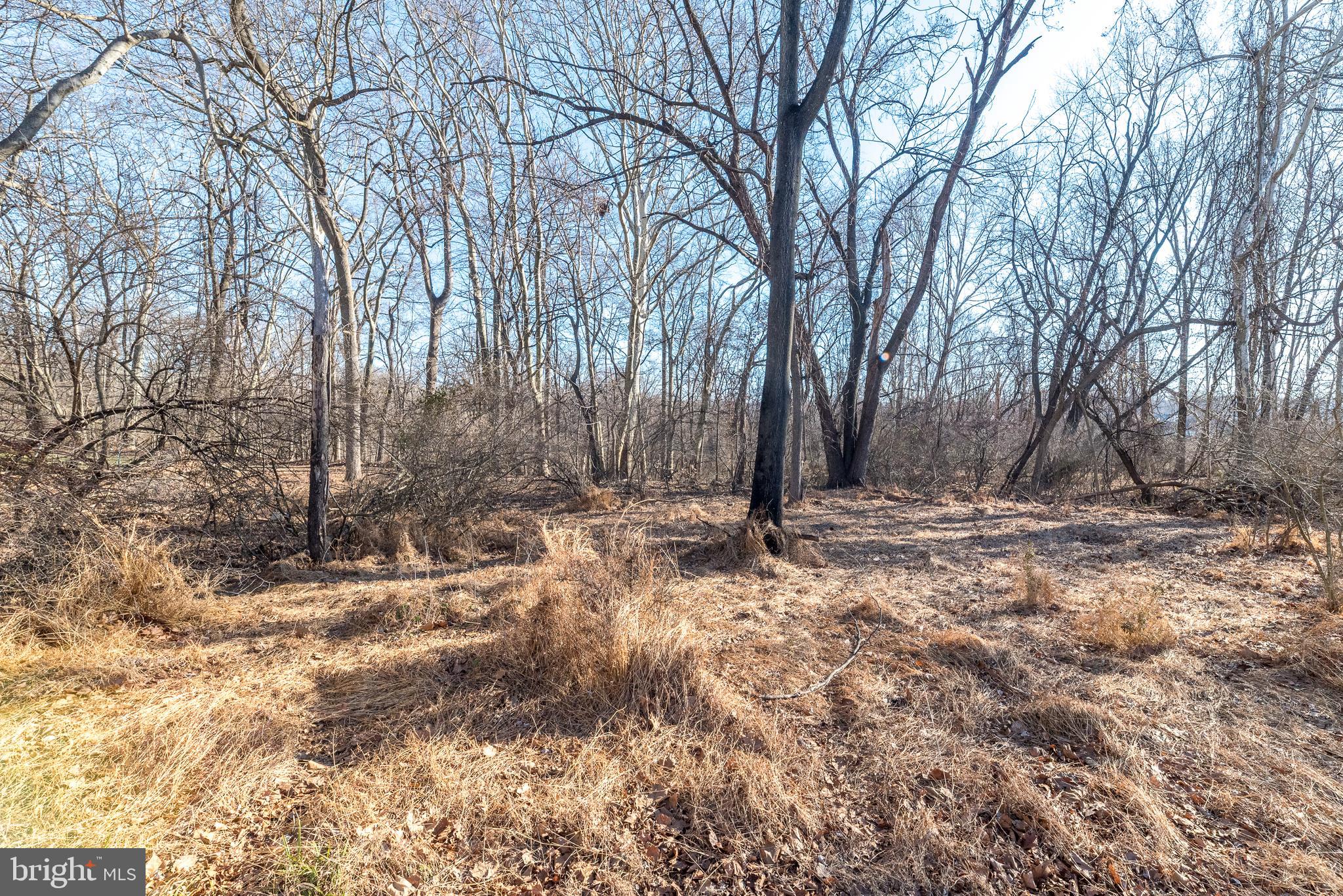 CONSHOHOCKEN - Residential