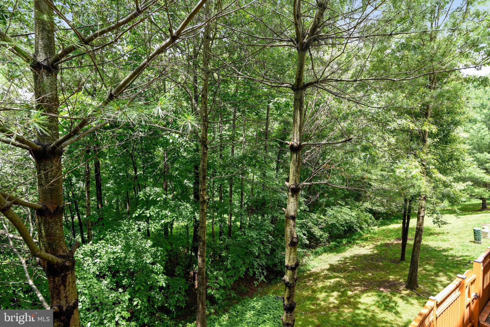 PARKSIDE AT FAIRFAX - Residential