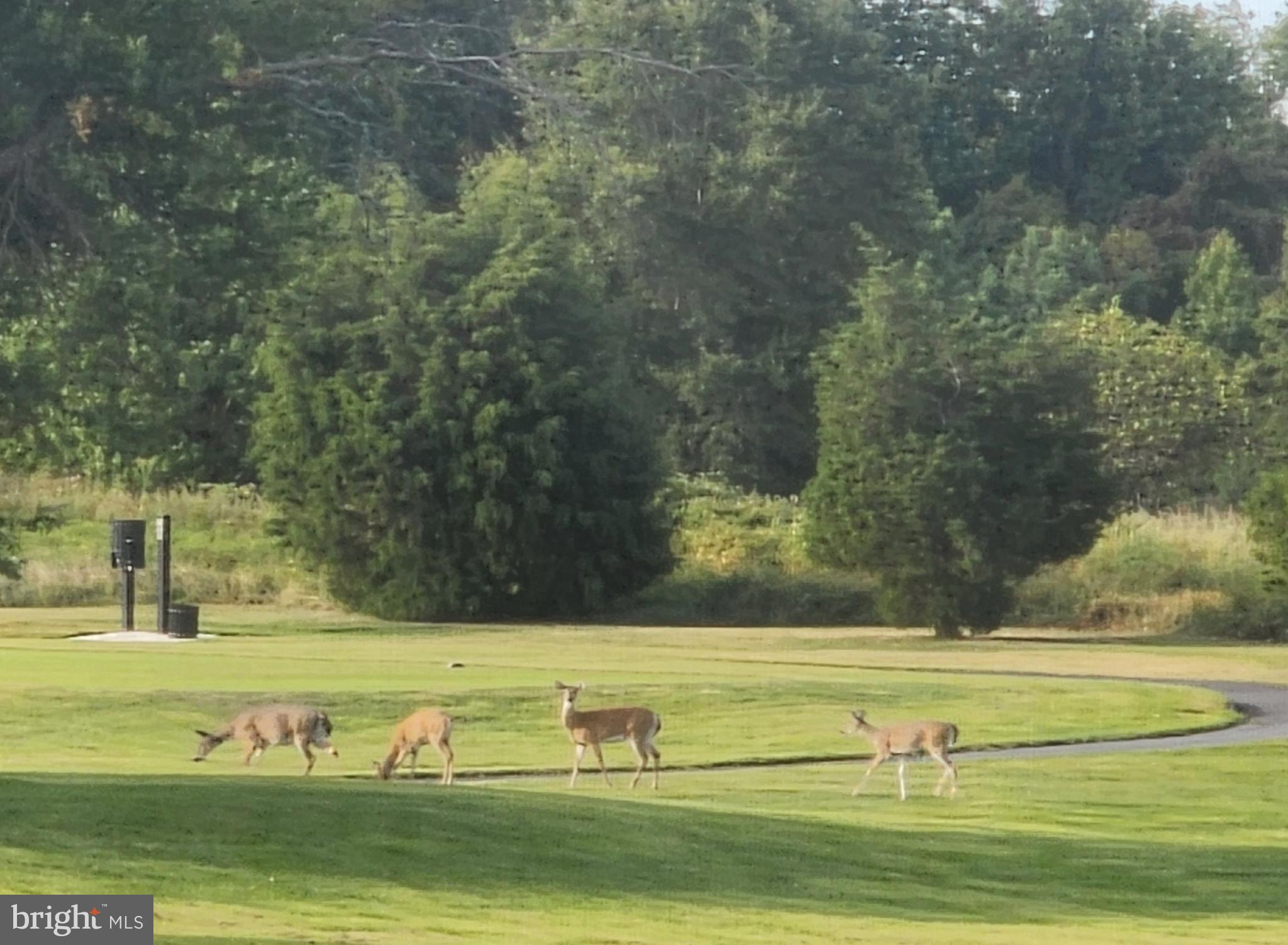 RIVER MARSH - Residential