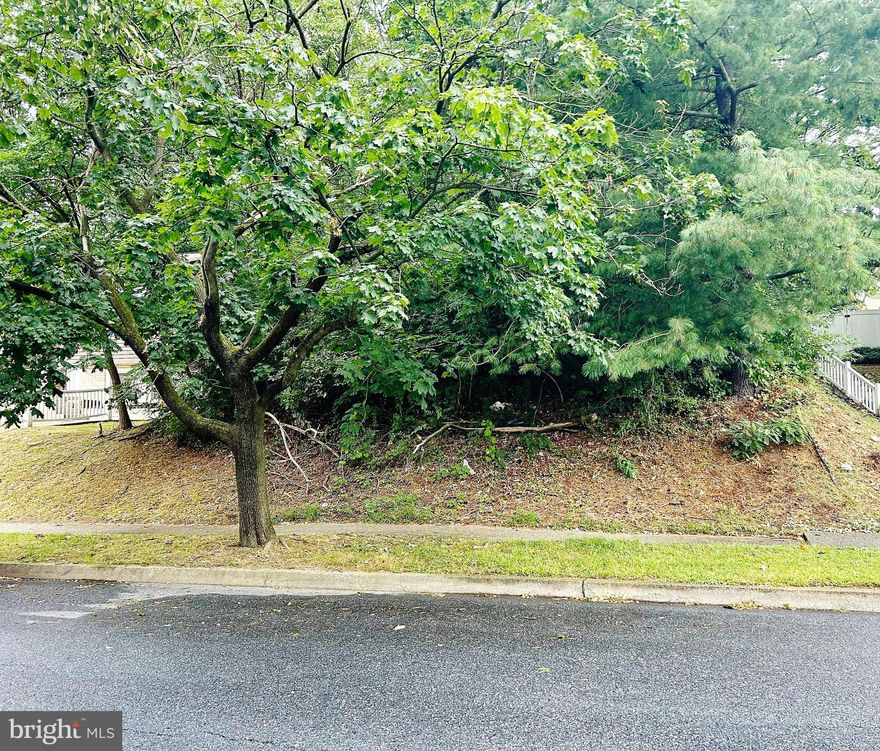 Rare Opportunity to find a Fantastic Wooded Building Lot in a well-established Neighborhood! Build your Dream Home on this attractive lot nestled in a great community! (Use the Builder of your Choice!!)