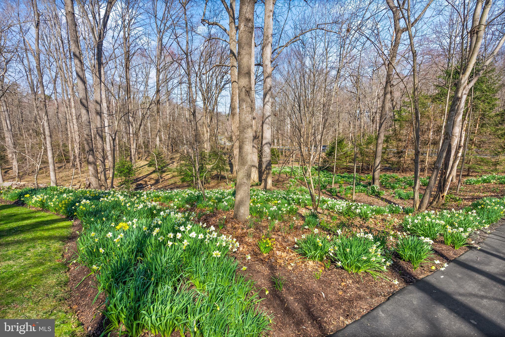 CONNEMARA - Residential